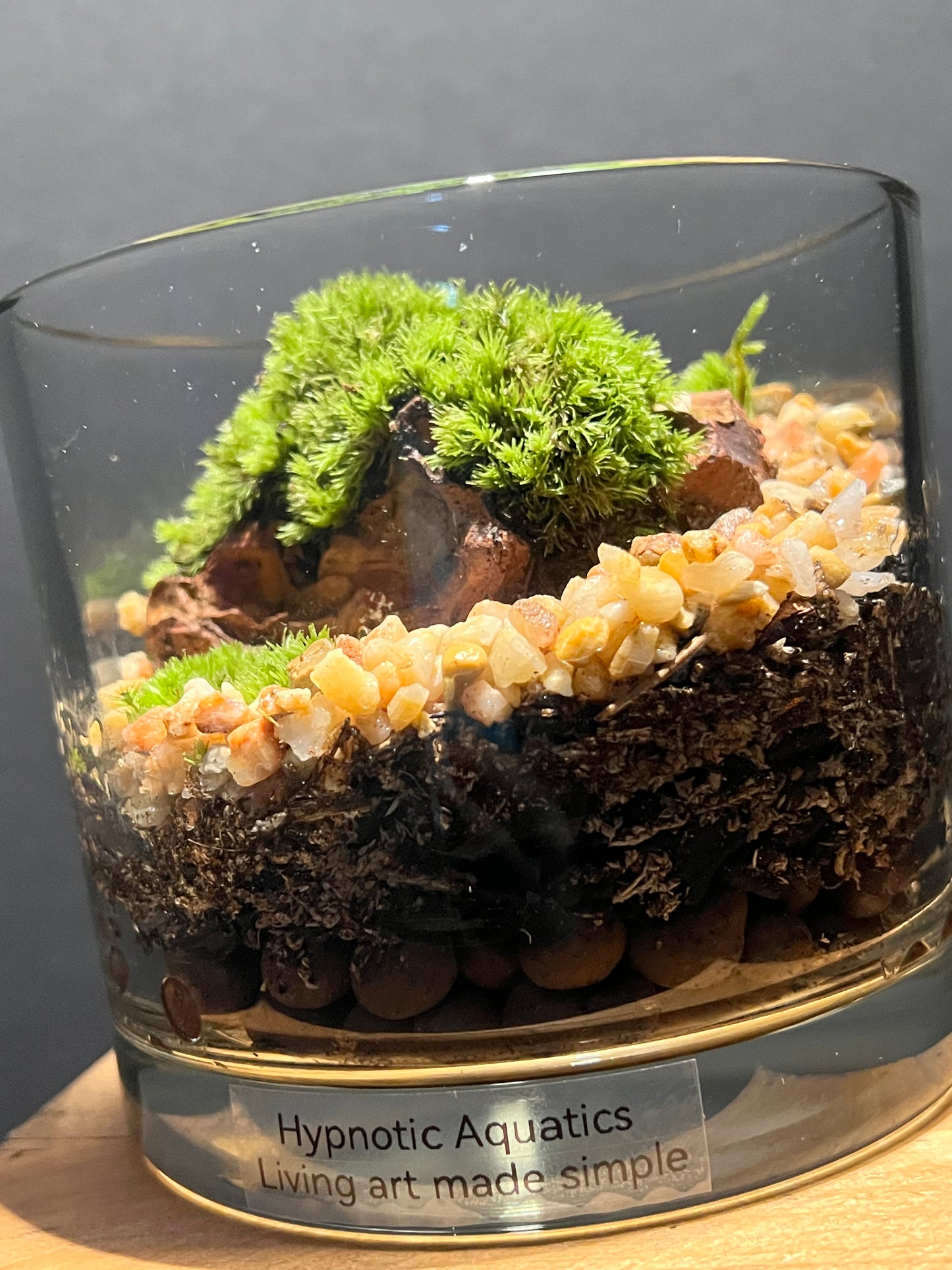 Terrarium 199
