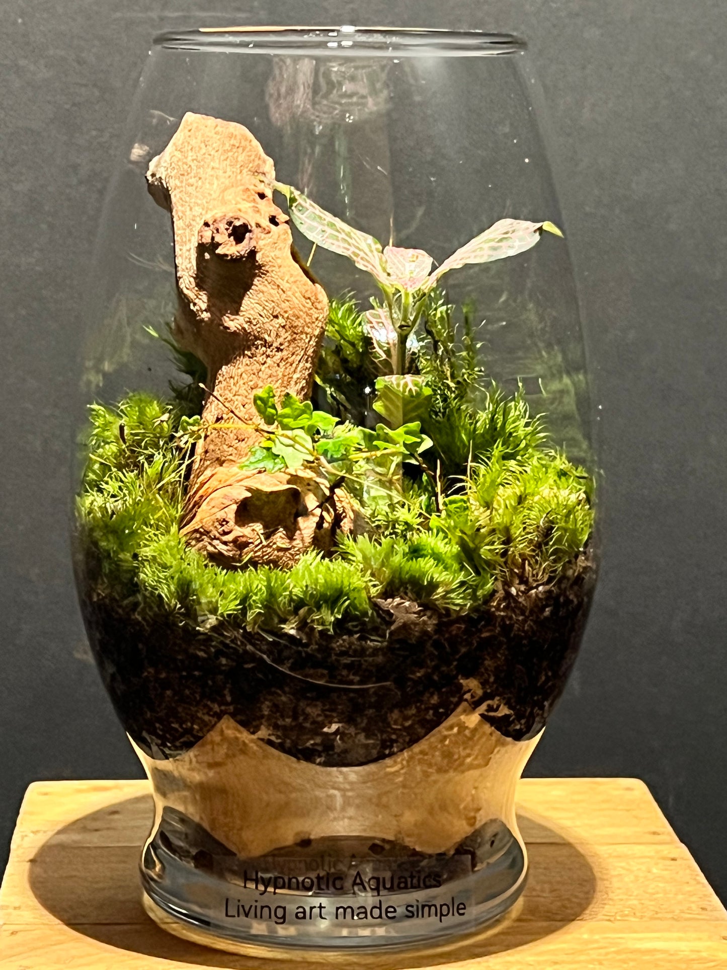 Terrarium 200