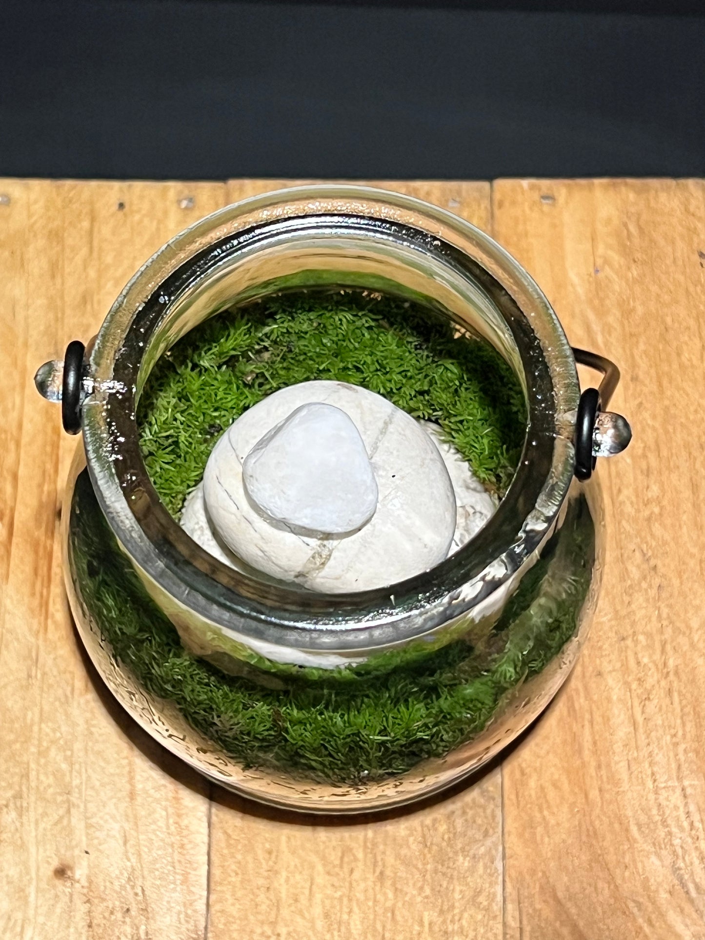 Terrarium 212