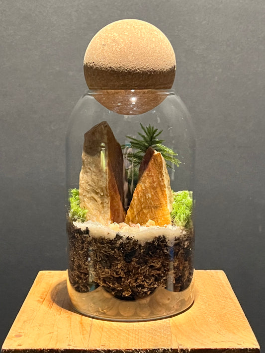 Terrarium 215