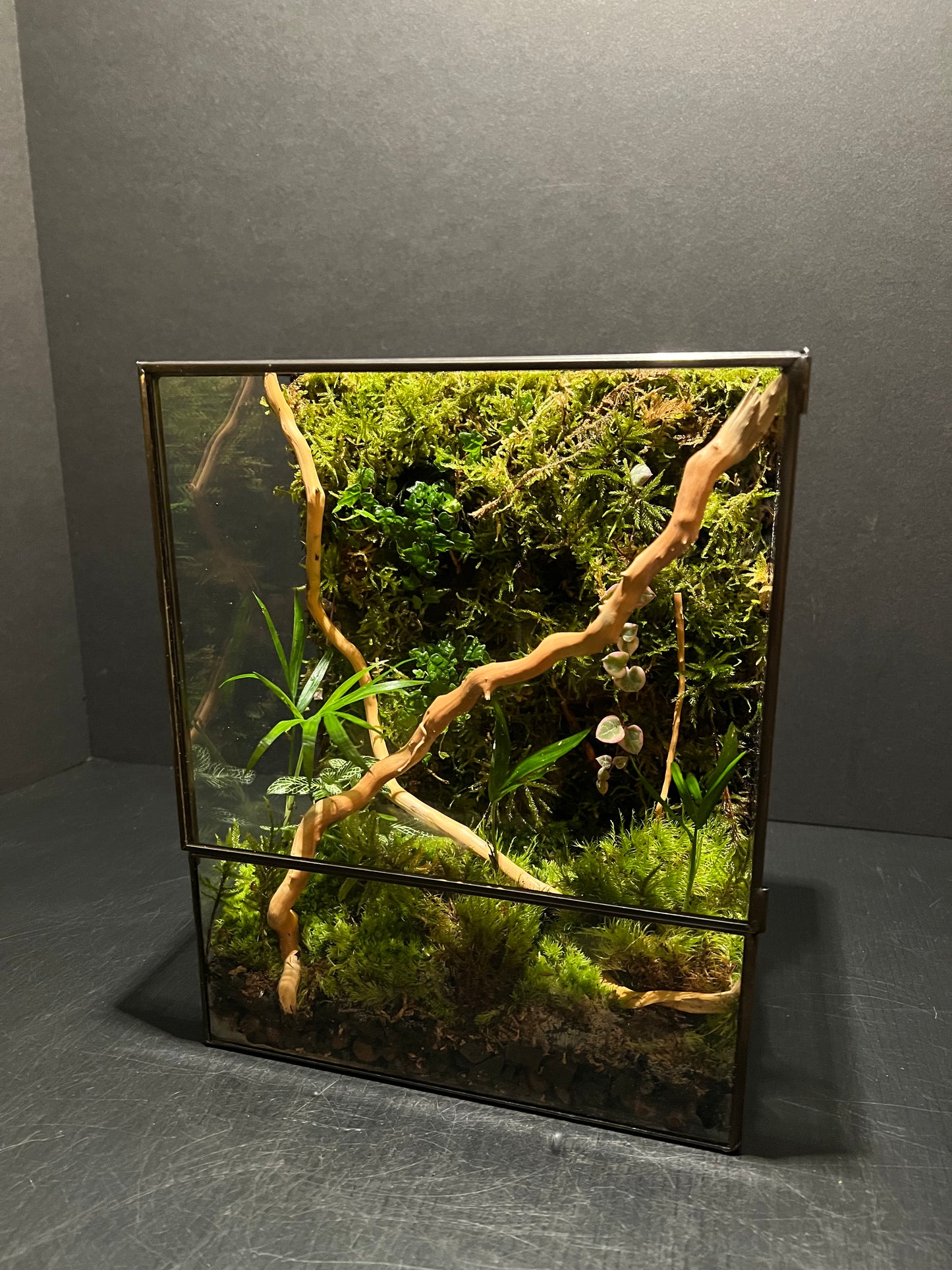 Terrarium 230
