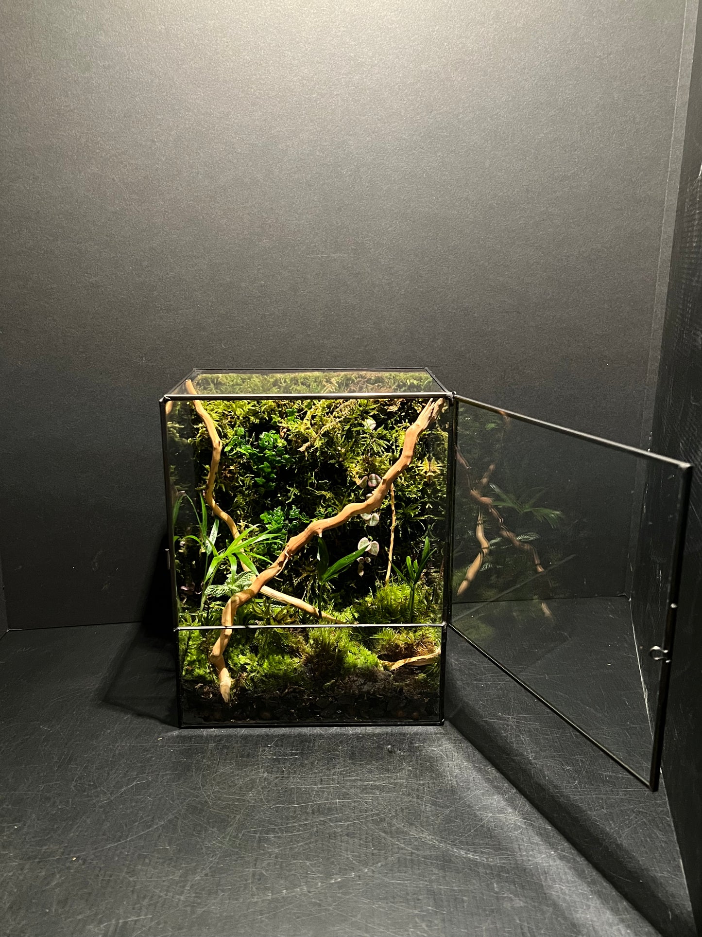 Terrarium 230