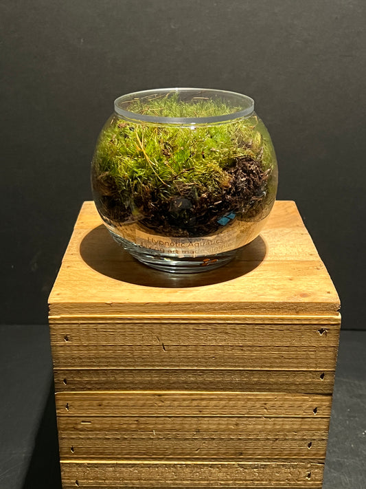 Terrarium 220