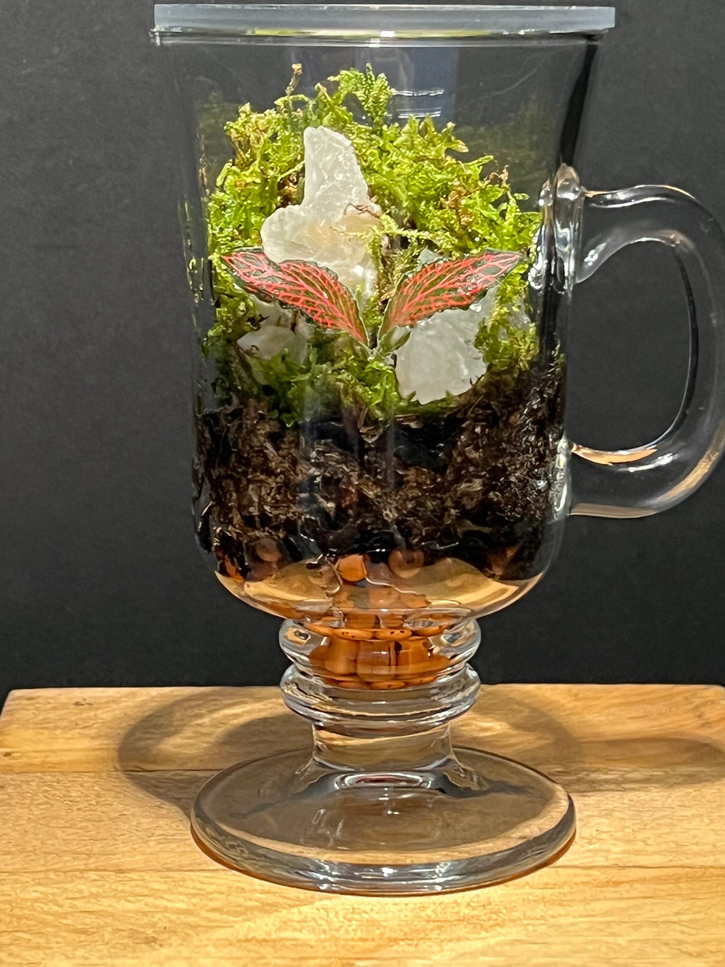 Terrarium 225
