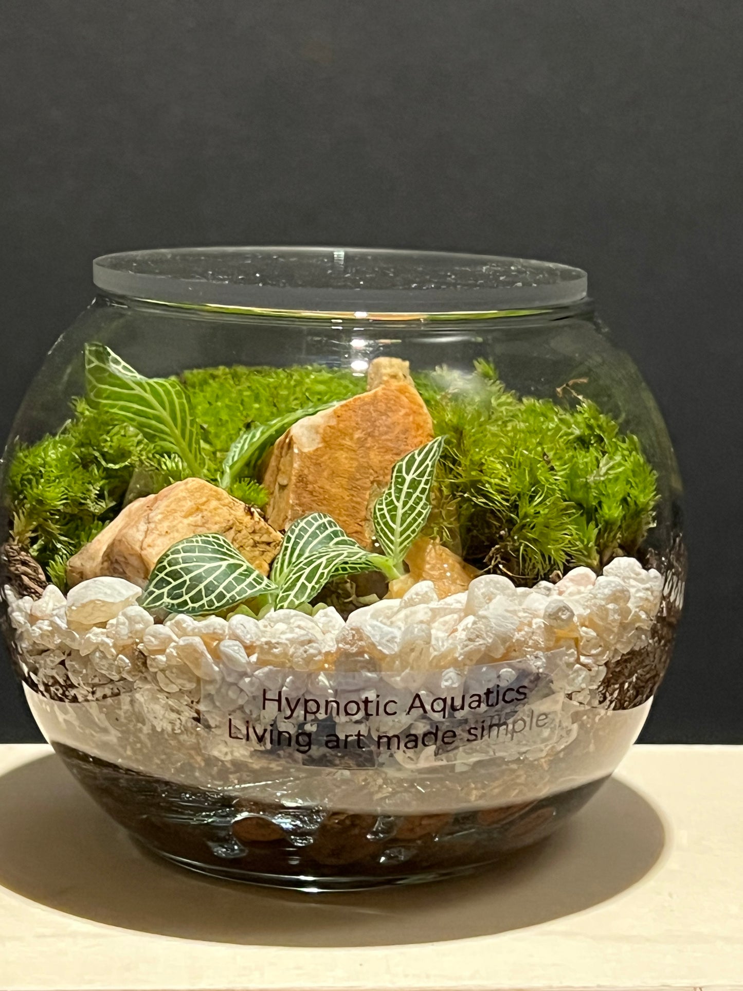 Terrarium 233