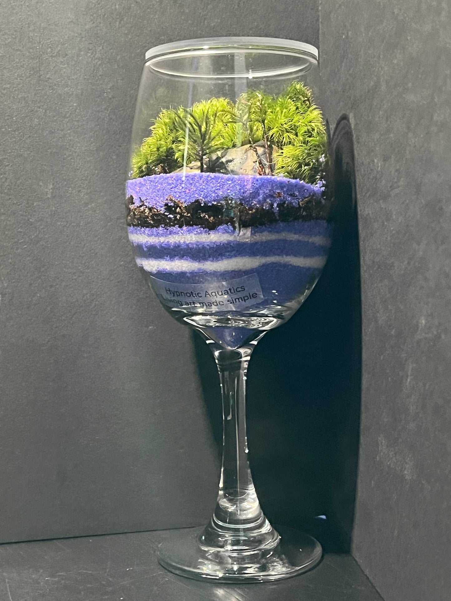 Terrarium 259