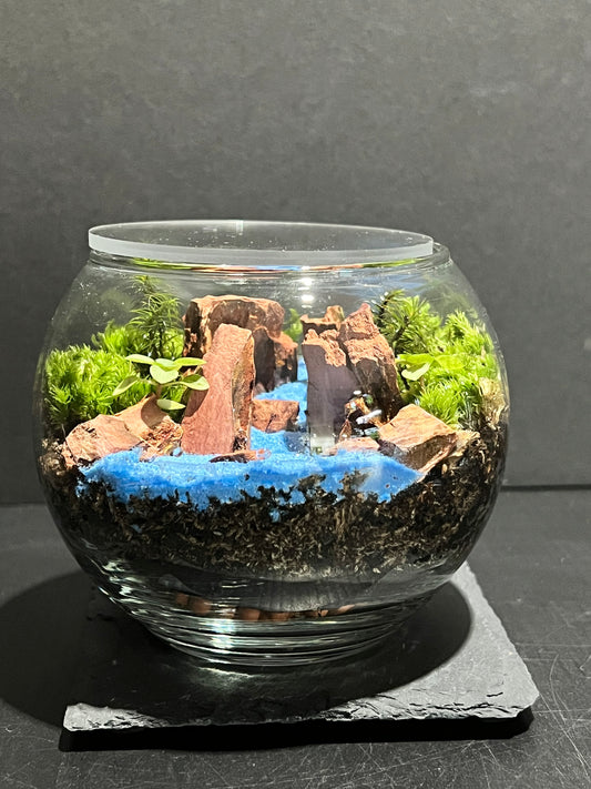 Terrarium 262