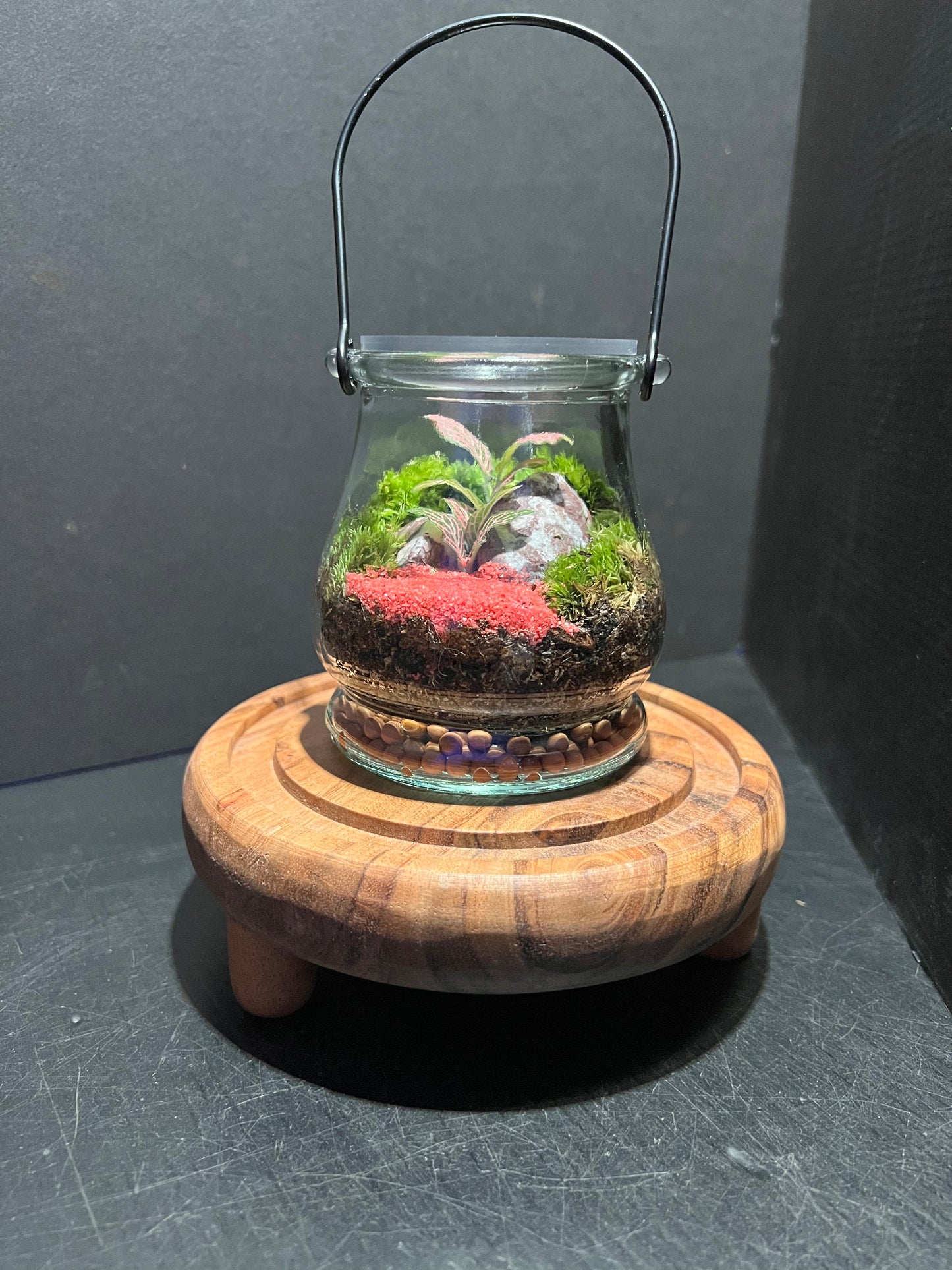 Terrarium 270