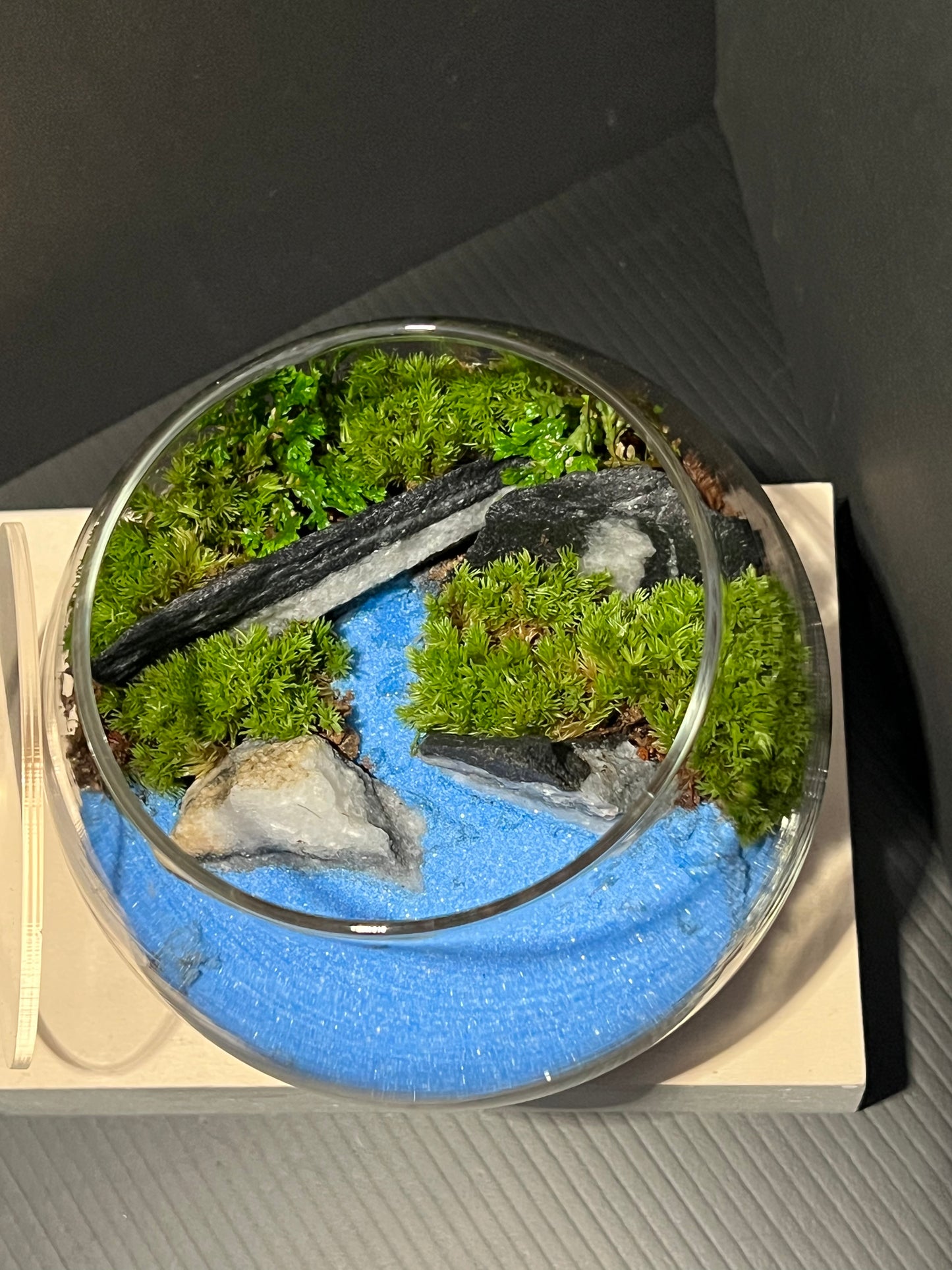 Terrarium 279