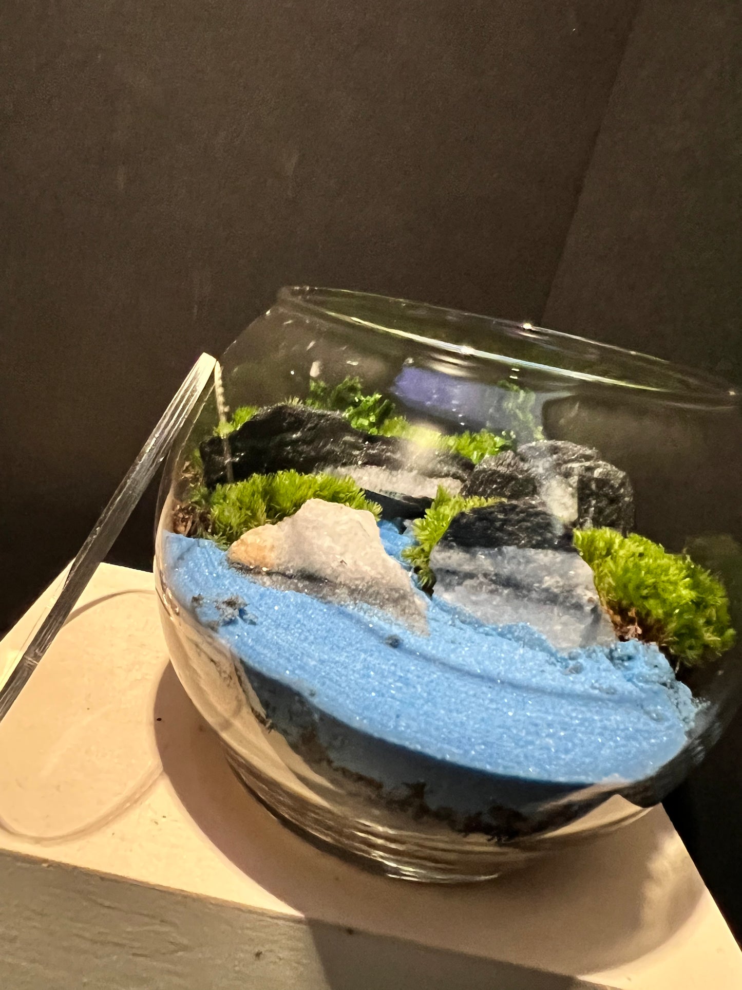 Terrarium 279