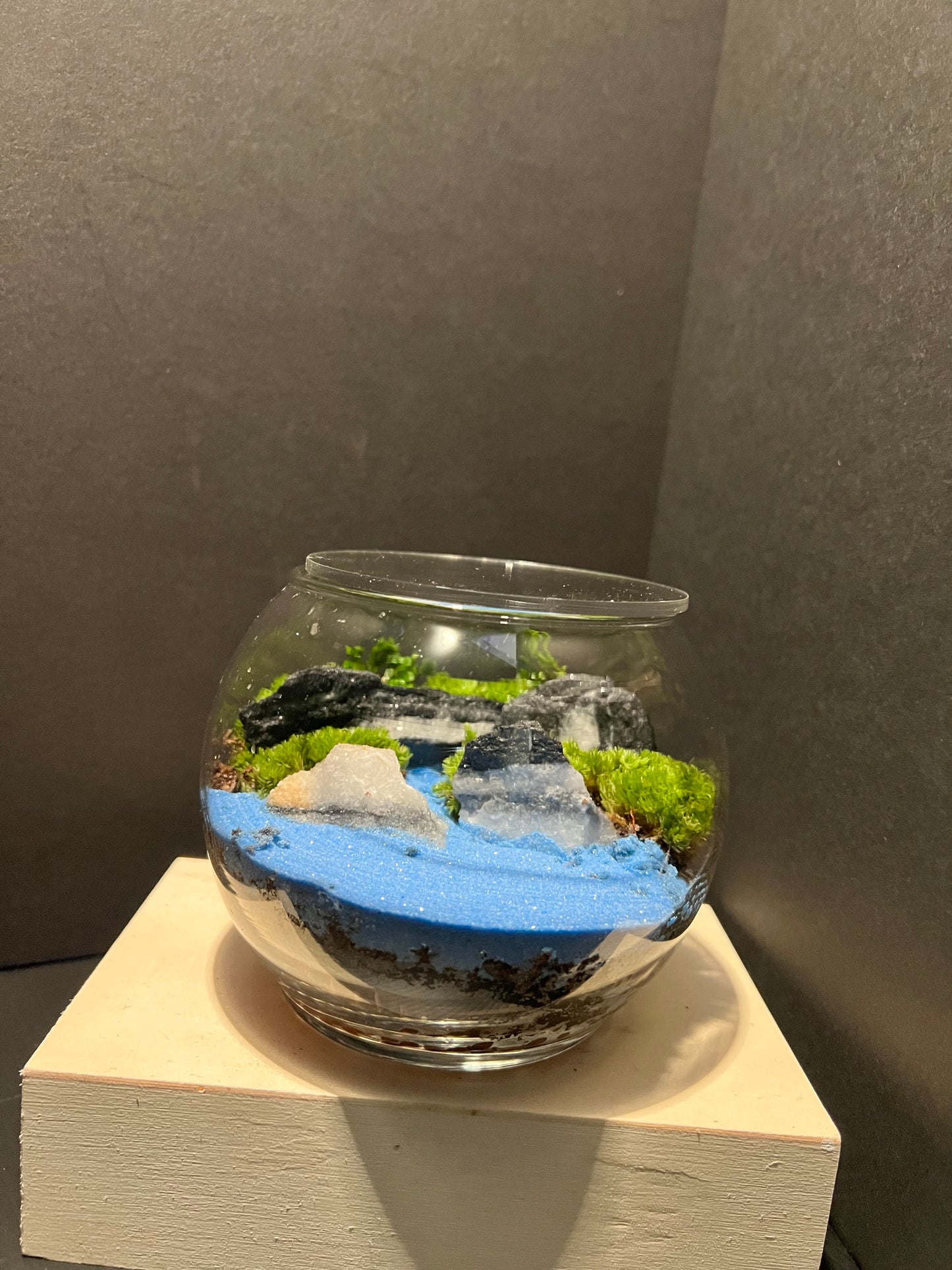 Terrarium 279