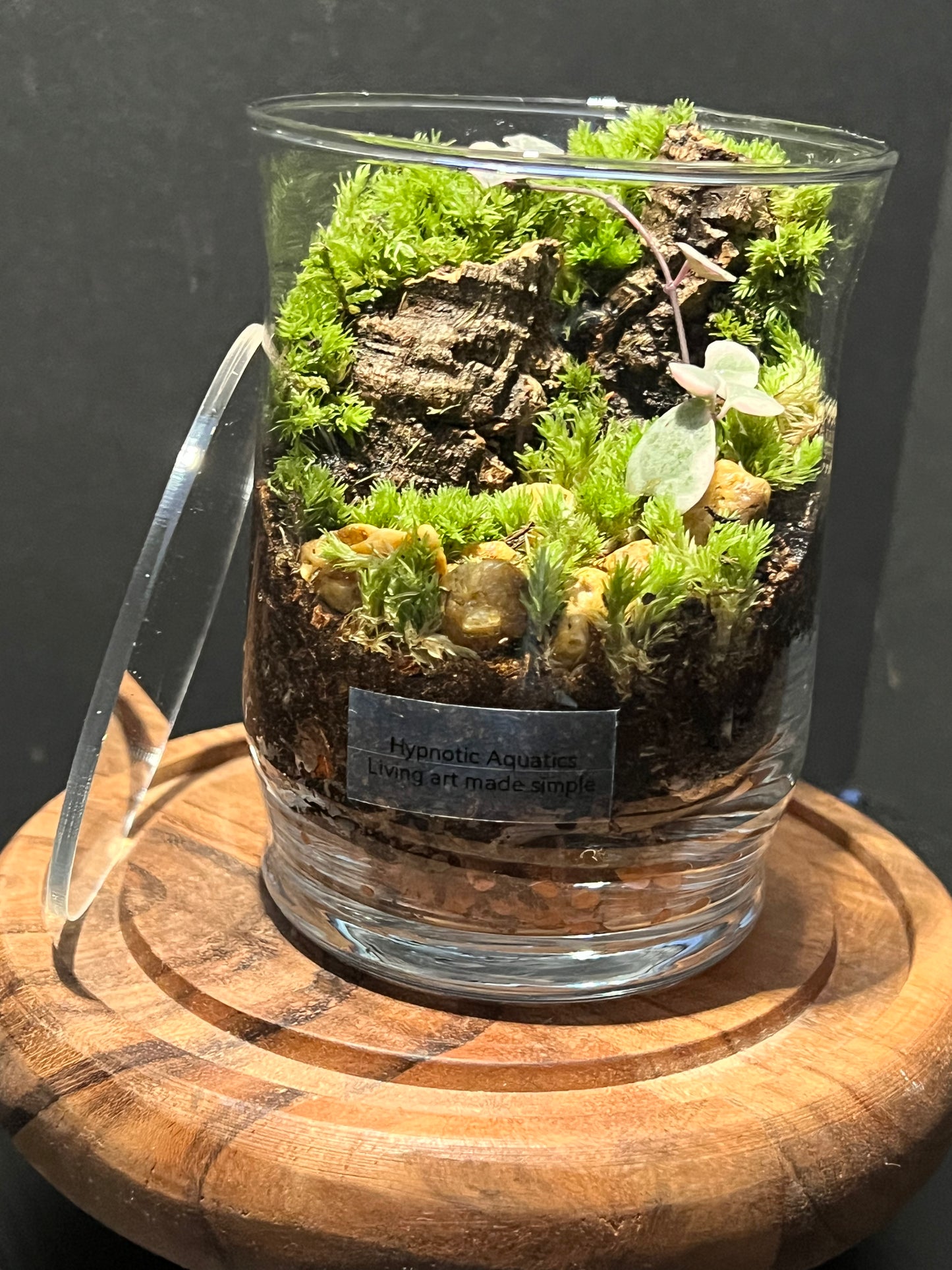 Terrarium 280
