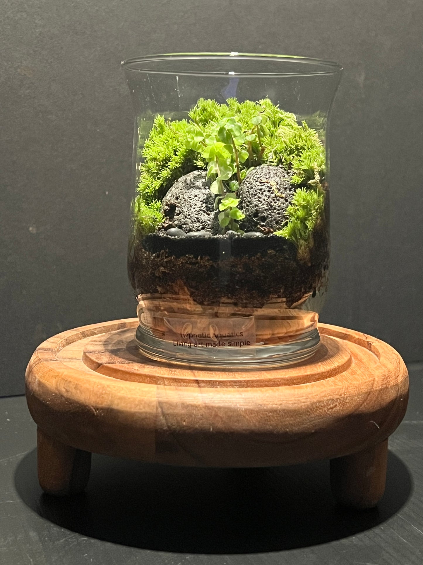 Terrarium 283