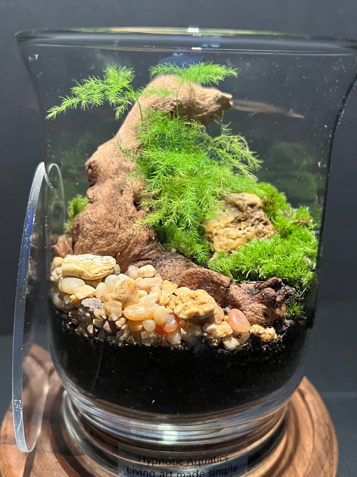Terrarium 285