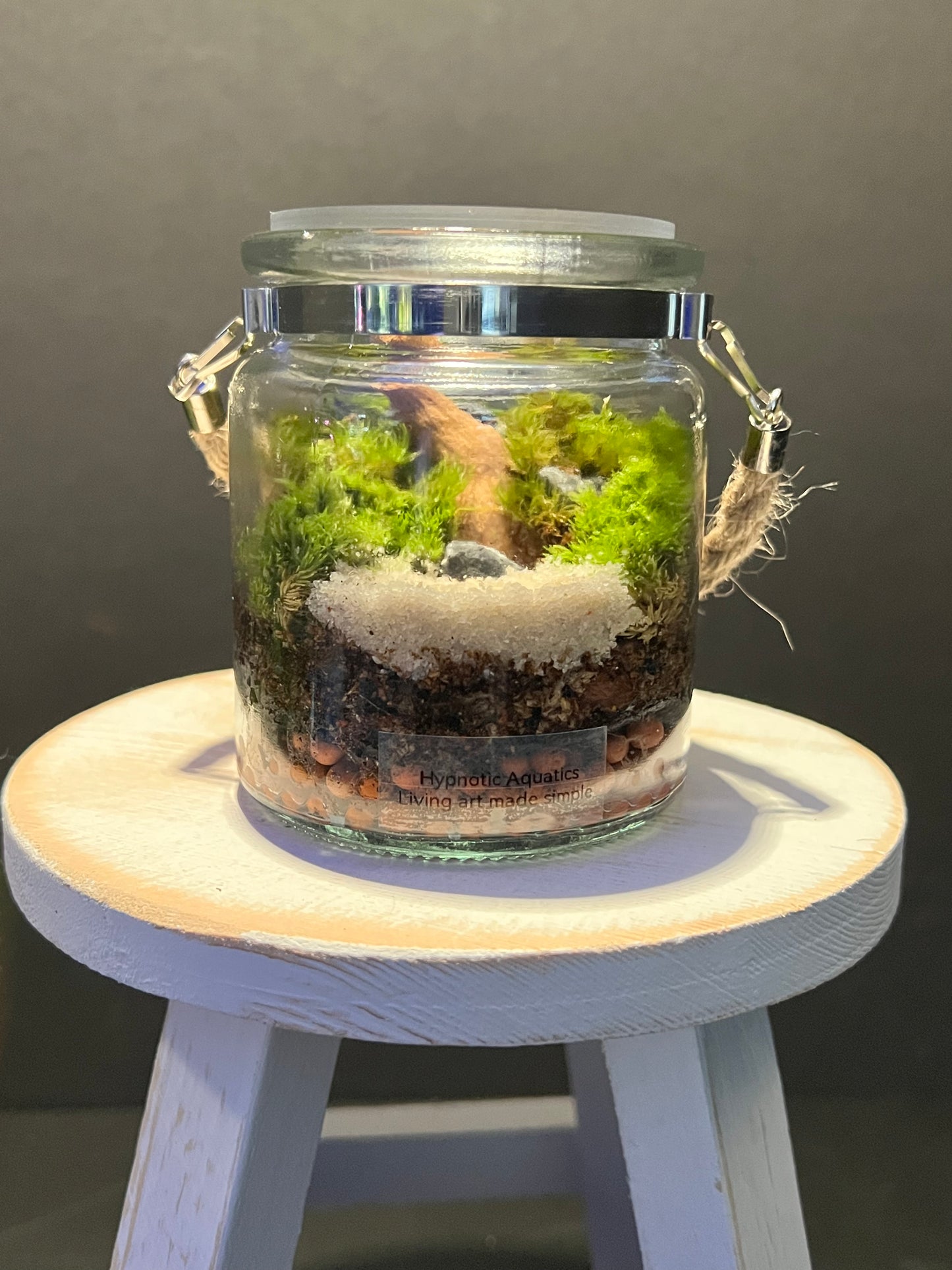Terrarium 289