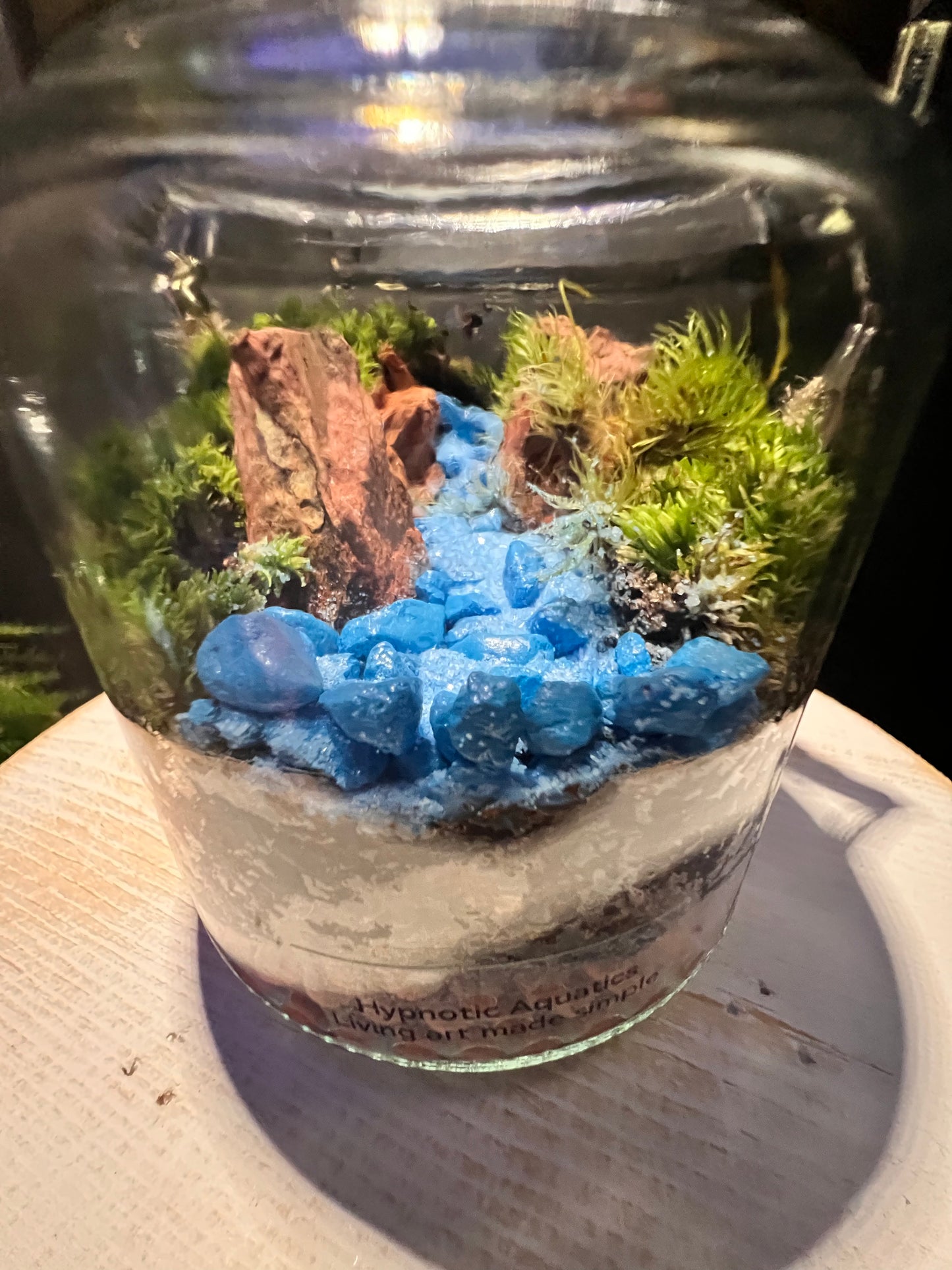 Terrarium 290