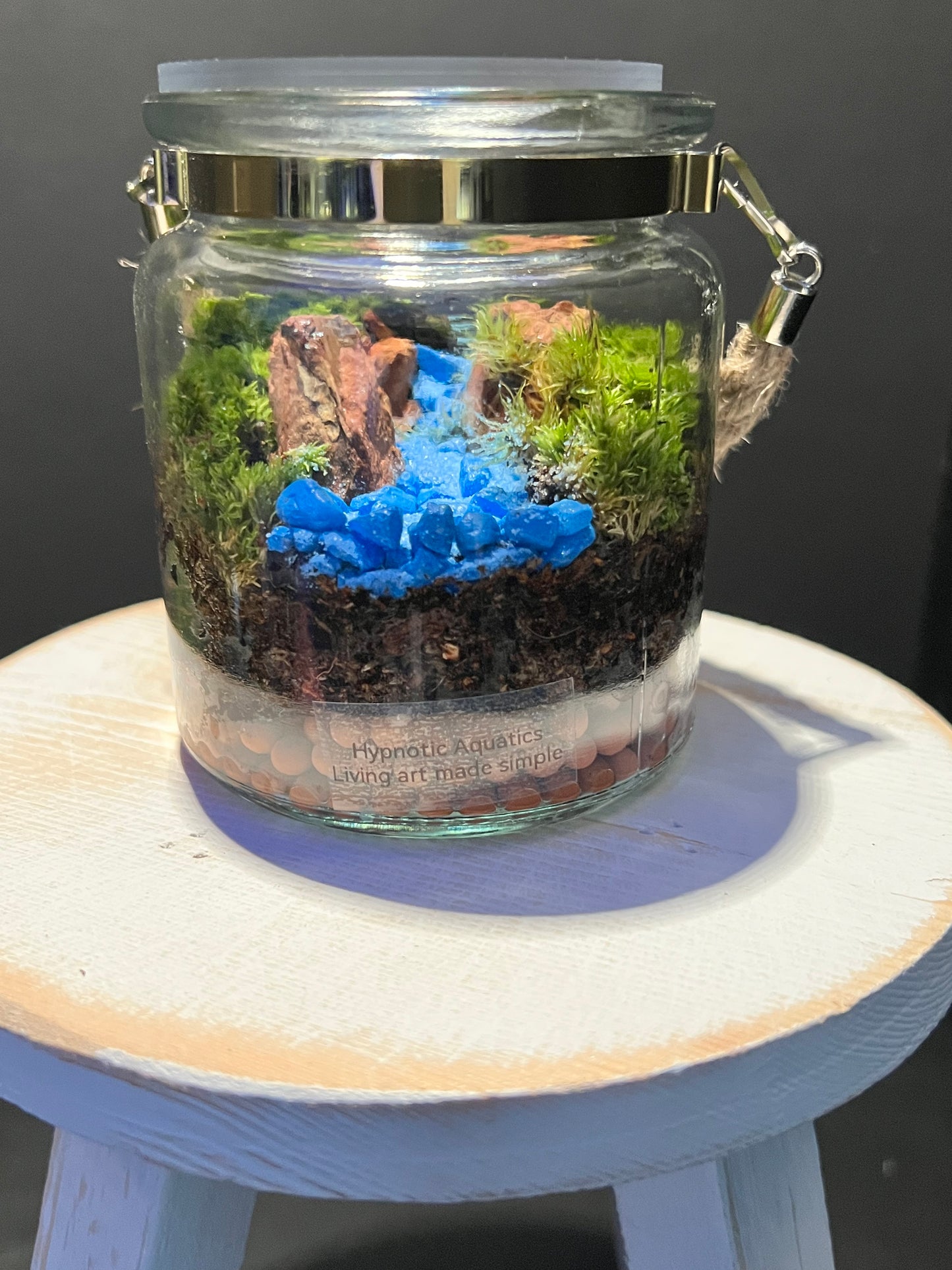 Terrarium 290