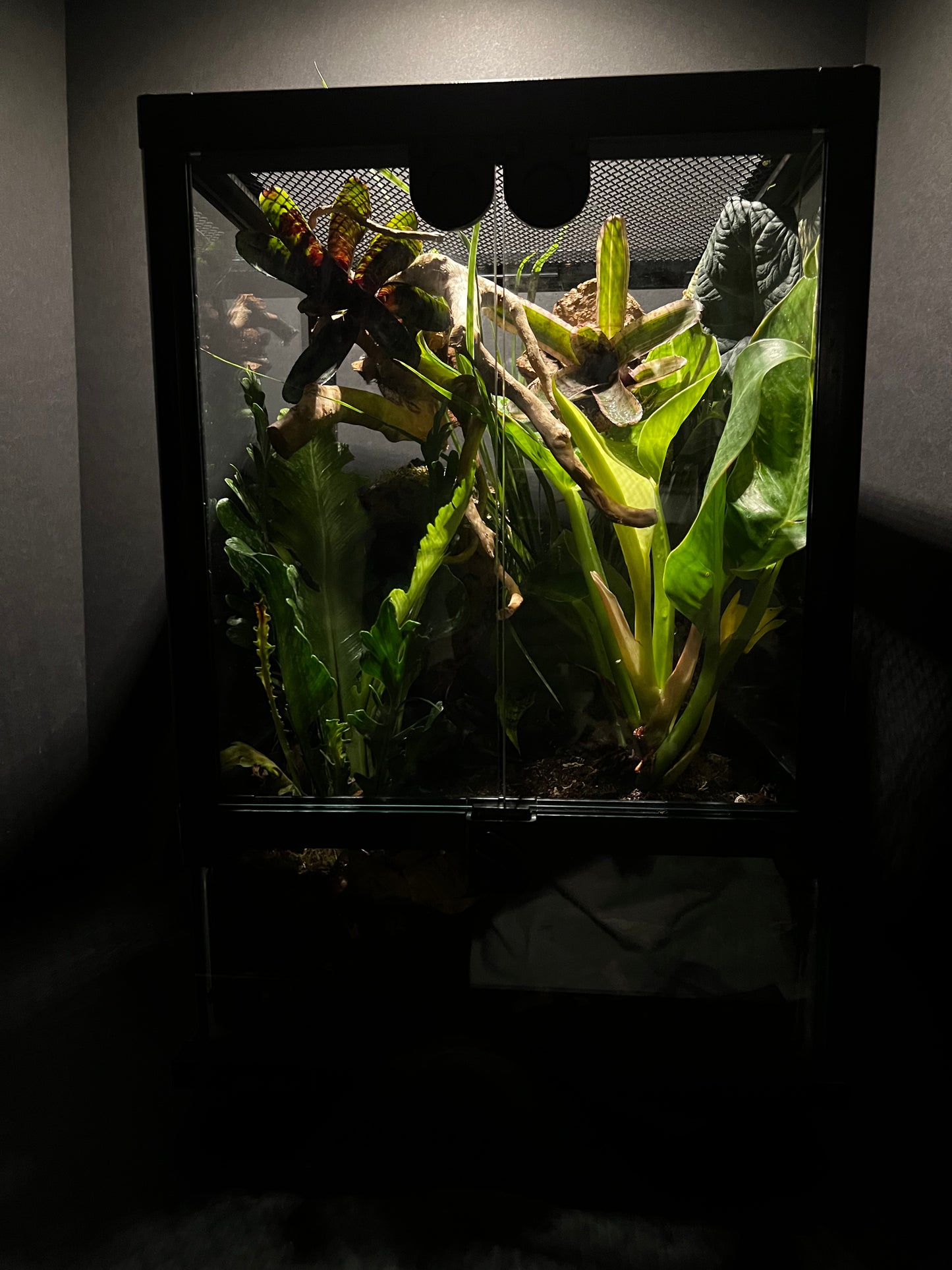 Terrarium Habitat 333