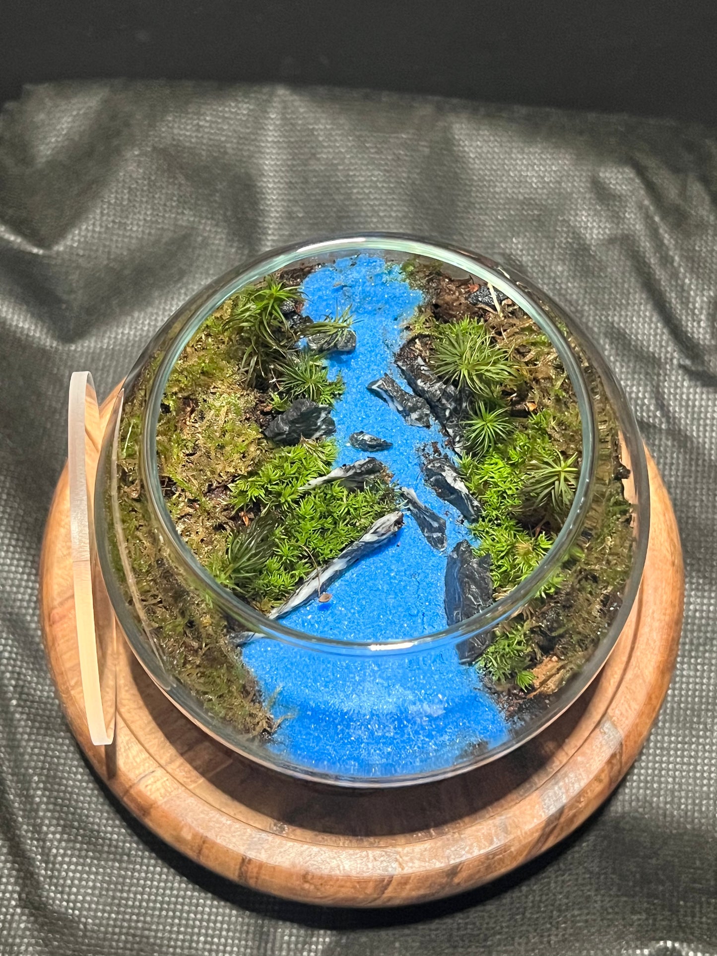 Terrarium 300