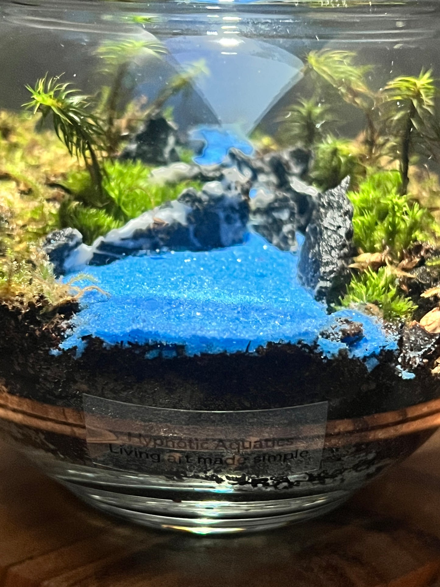 Terrarium 300