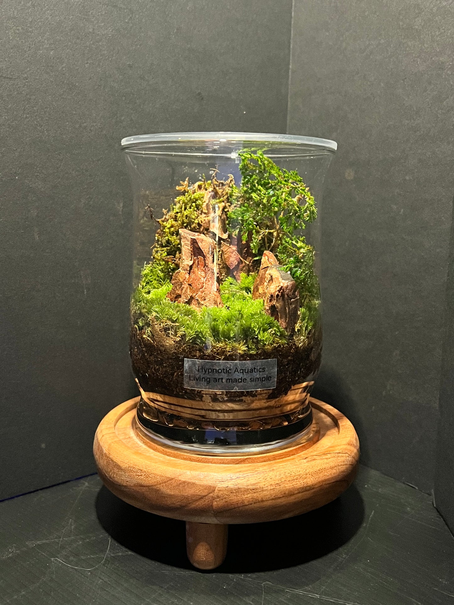 Terrarium 309