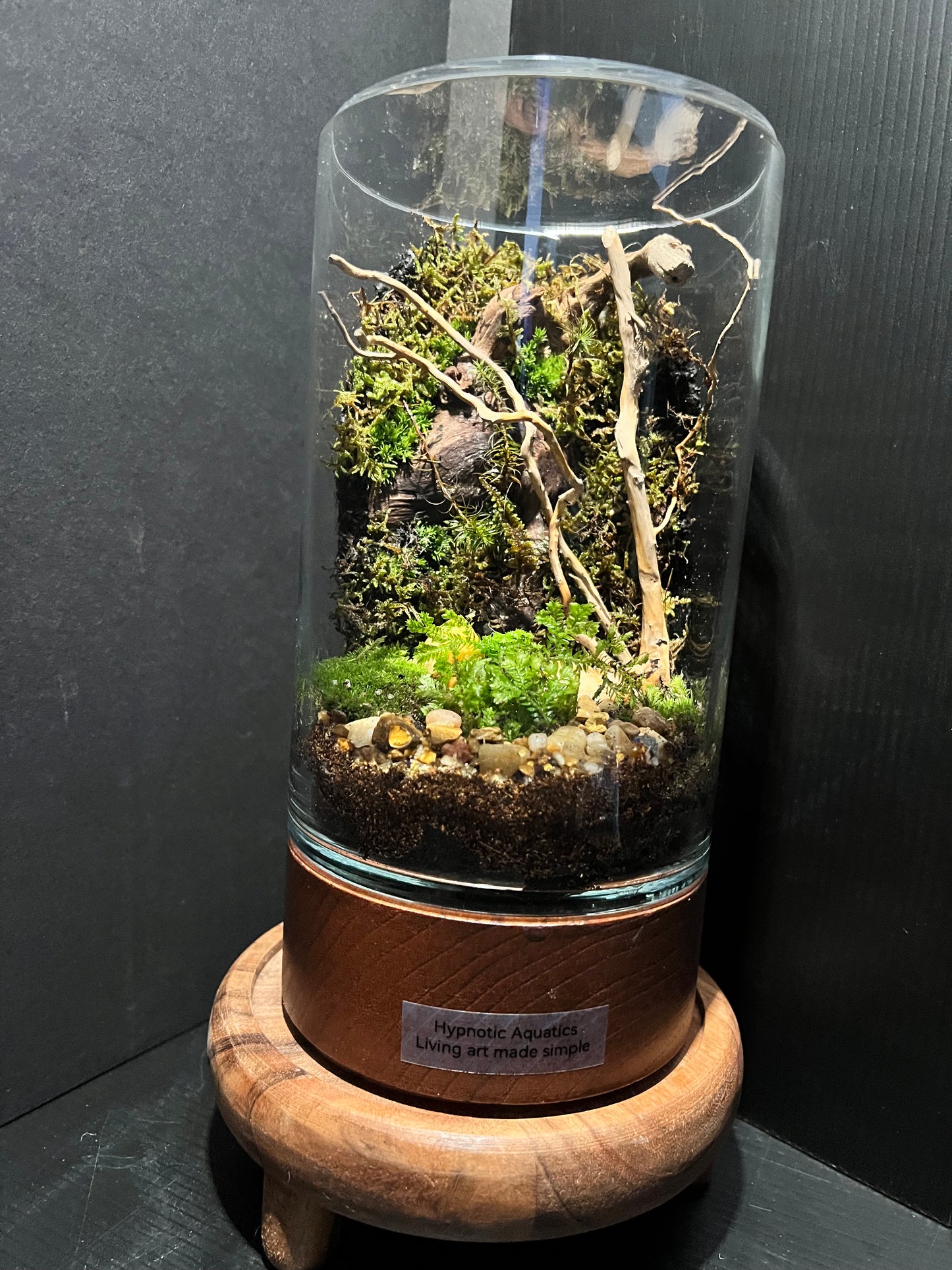 Terrarium 314