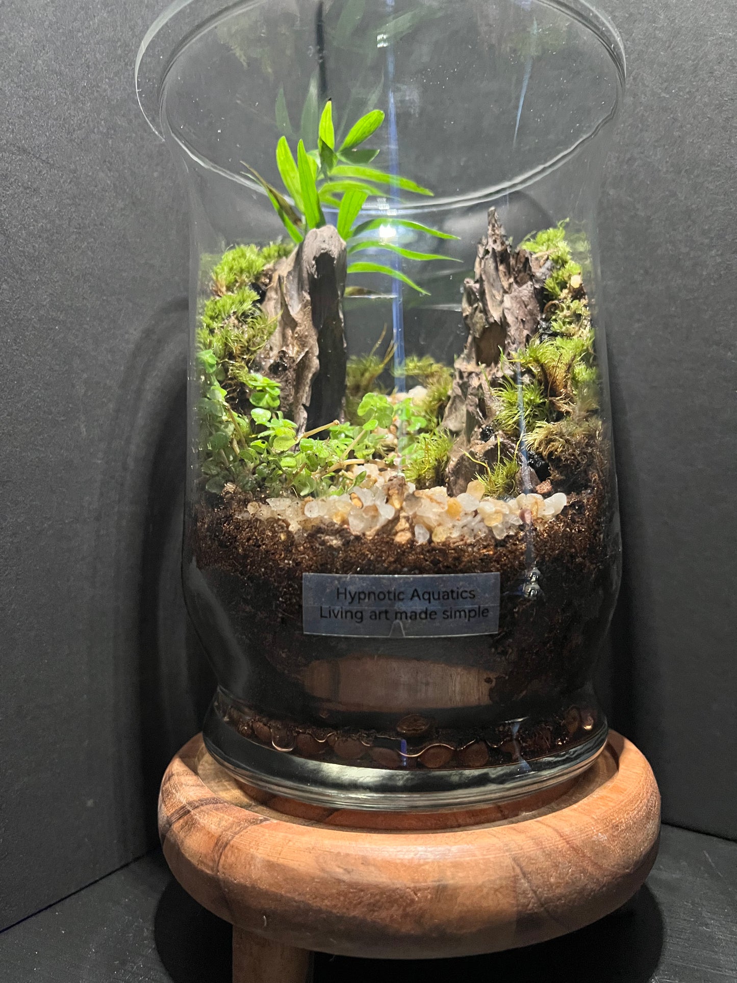 Terrarium 315