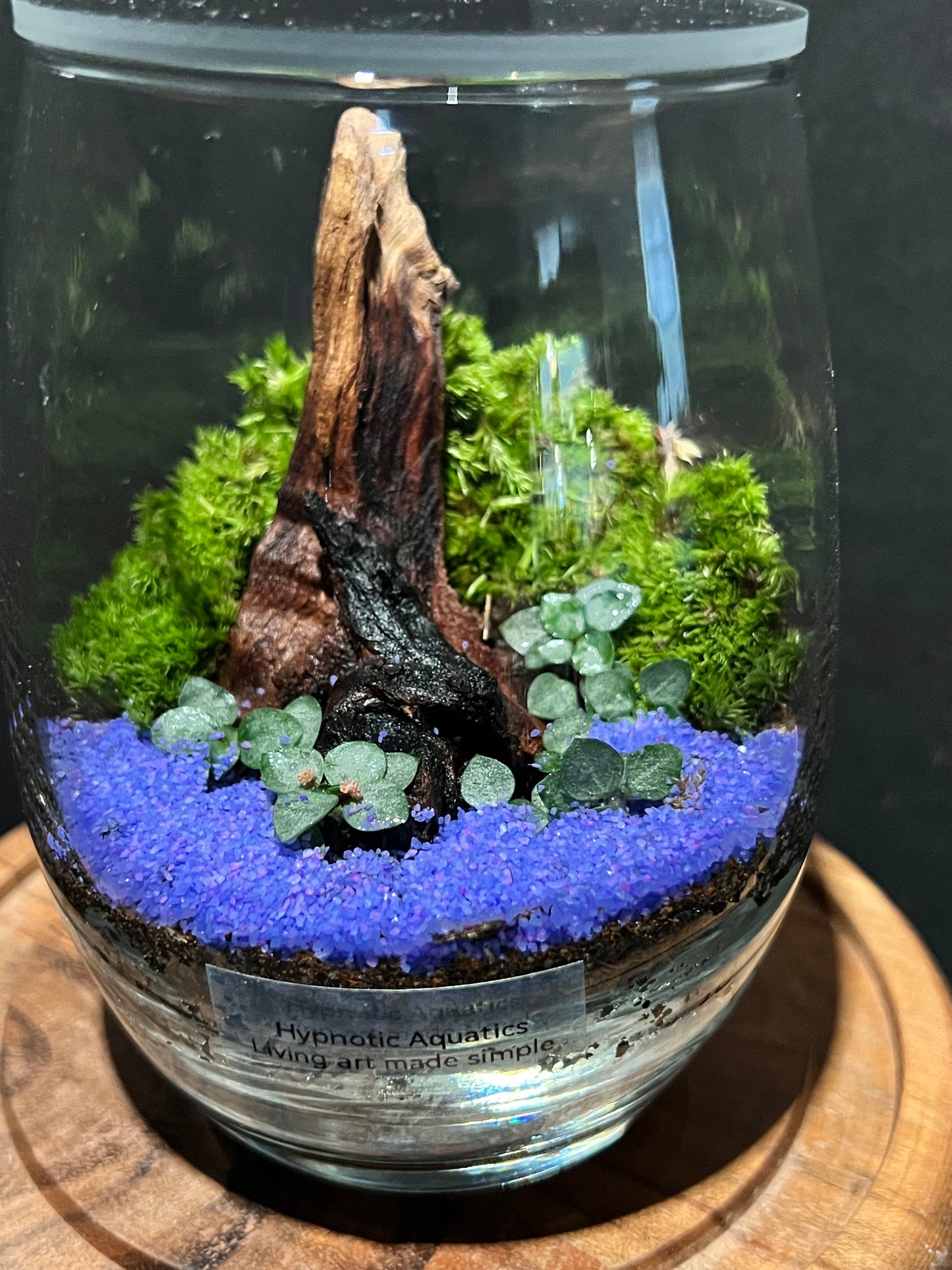 Terrarium 318