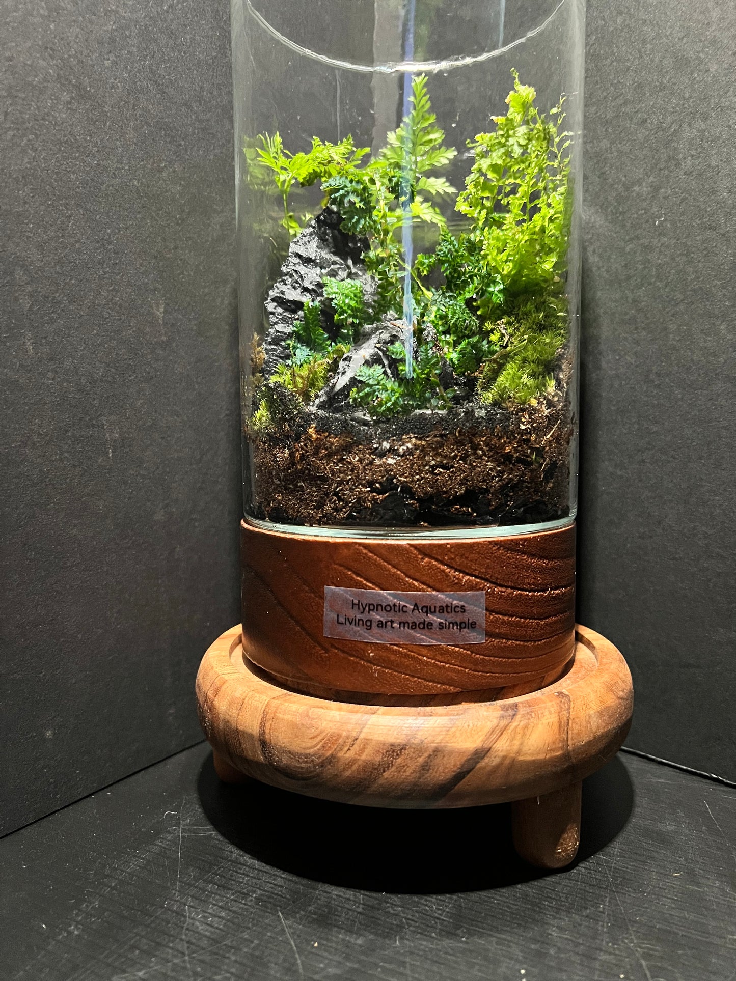 Terrarium 321