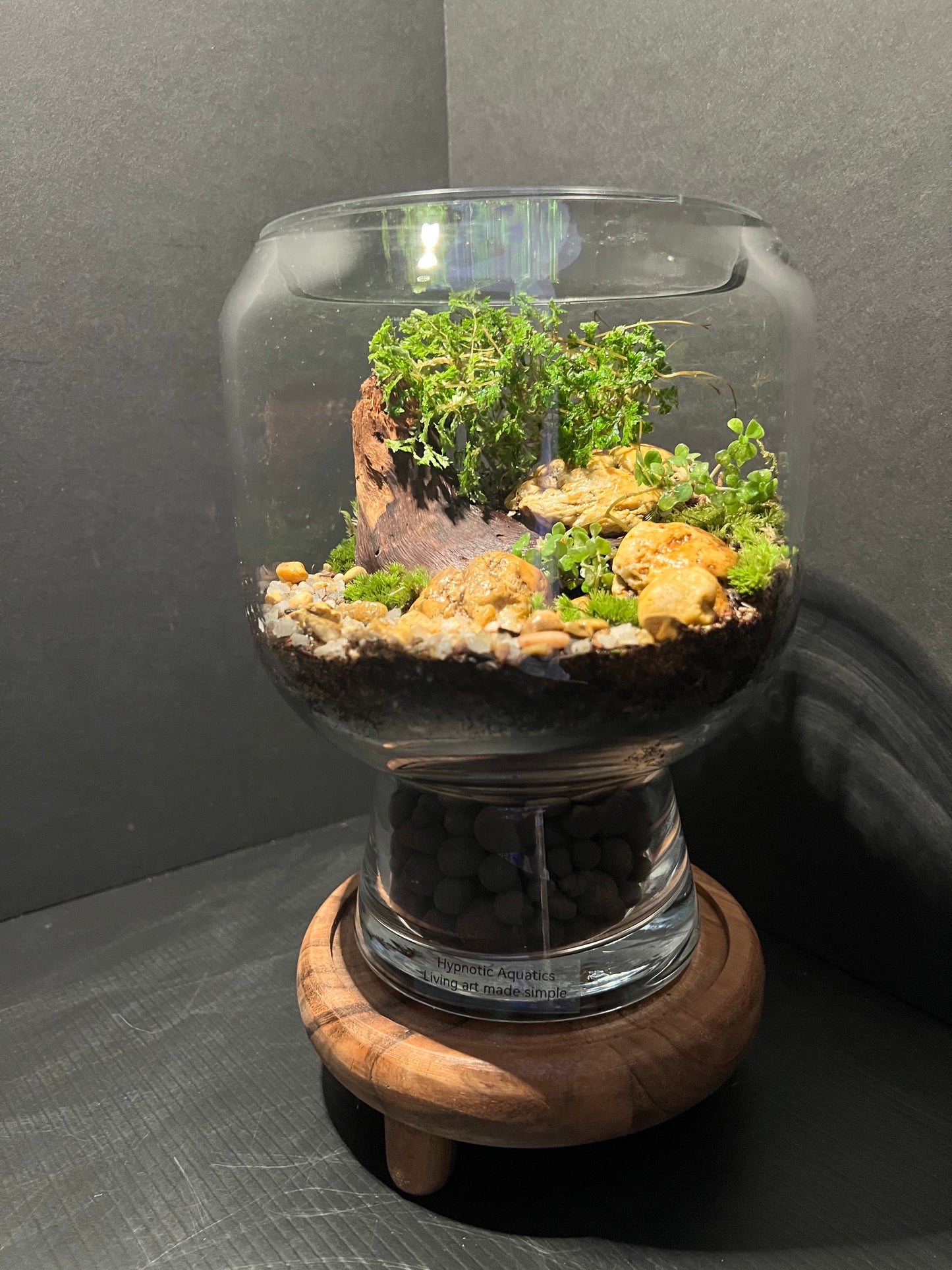 Terrarium 327