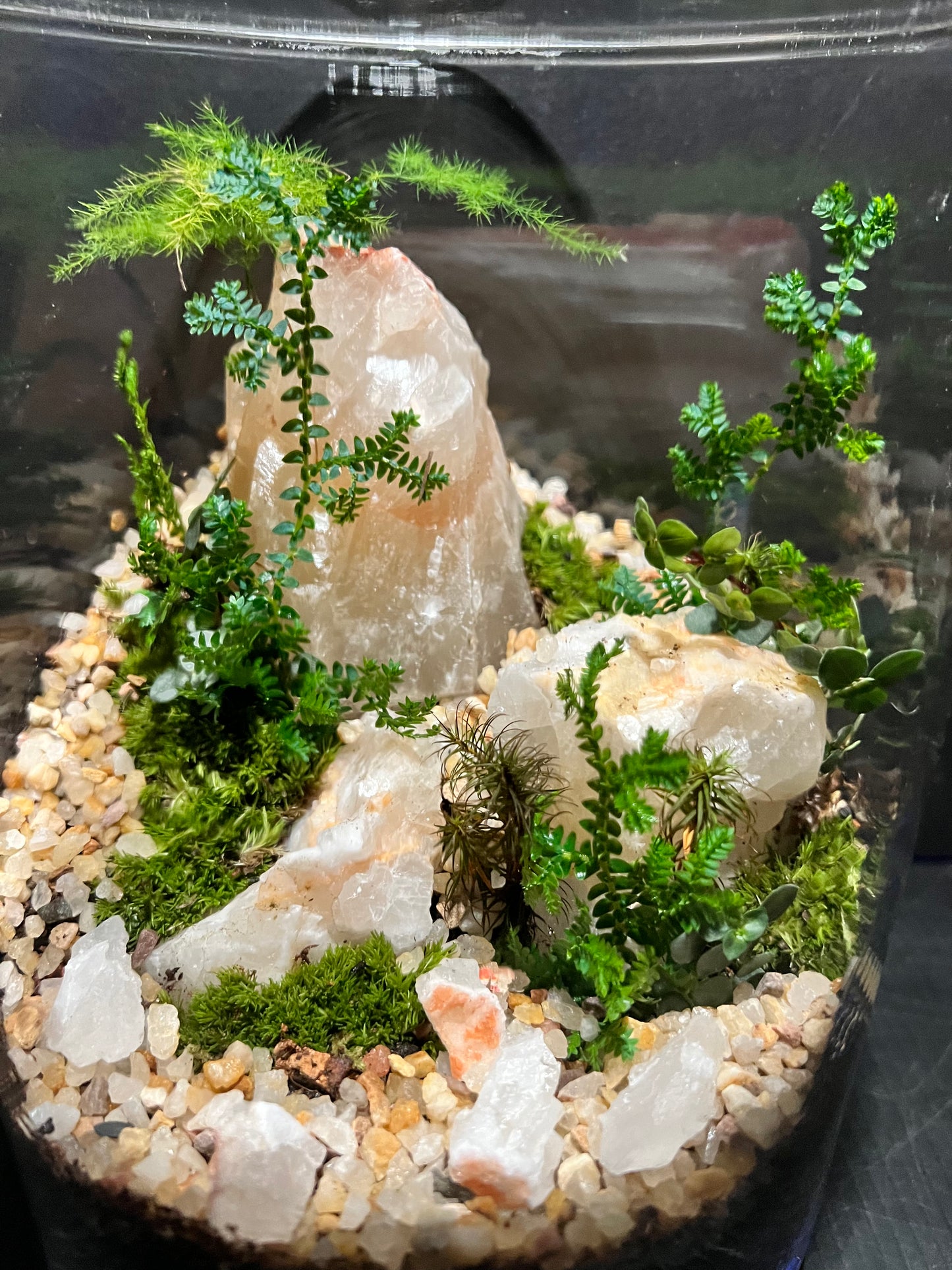 Terrarium 330
