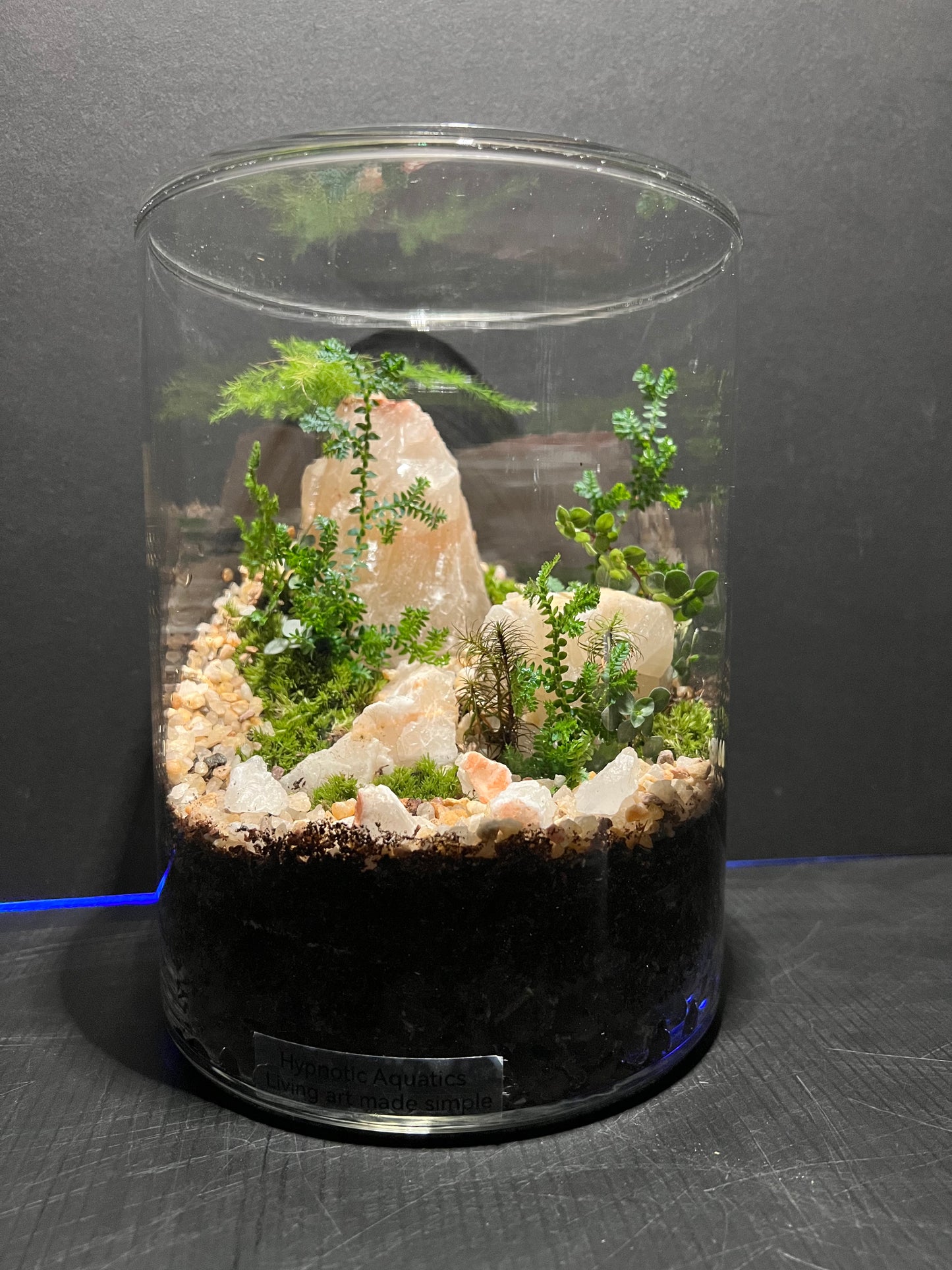 Terrarium 330