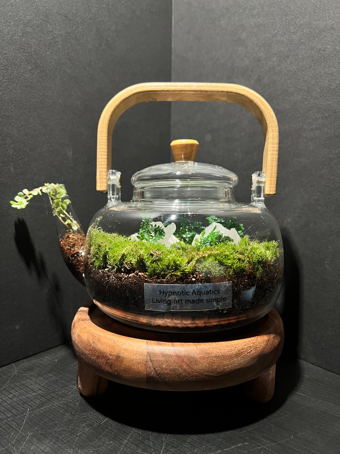 Terrarium 332