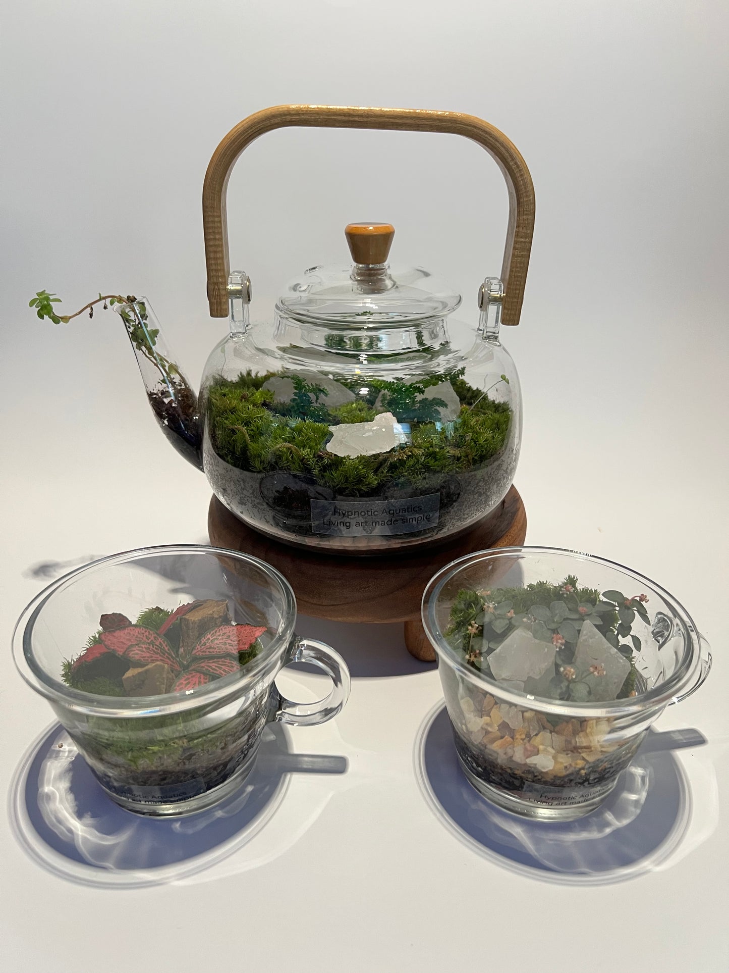 Terrarium 334