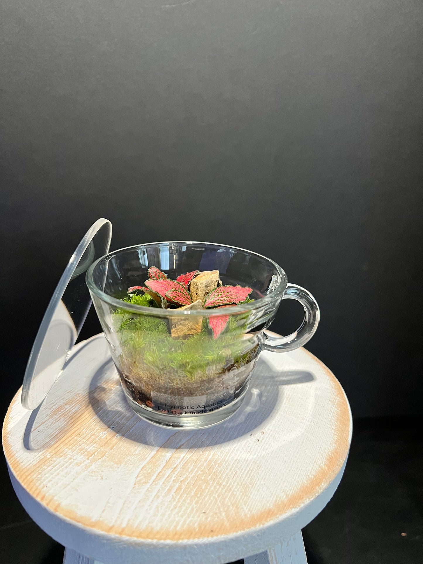 Terrarium 334