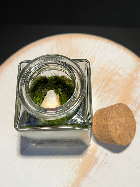 Terrarium 349
