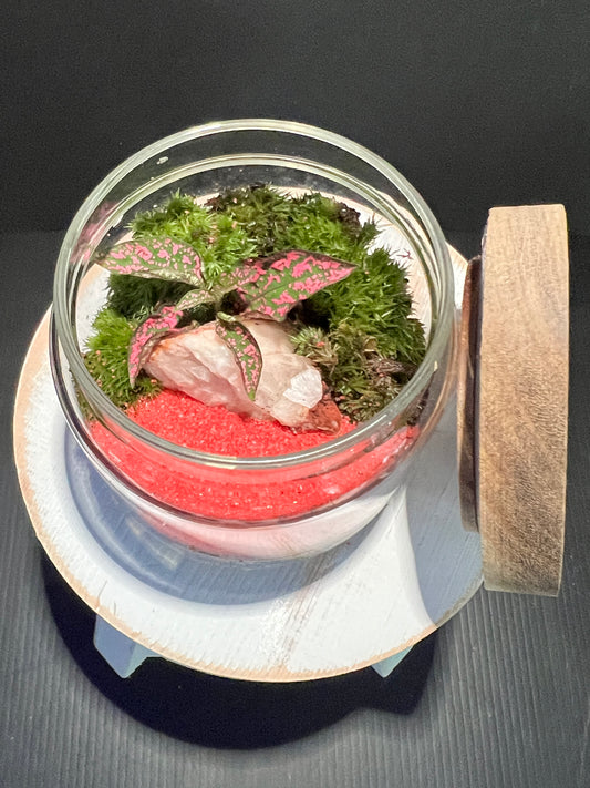 Terrarium 350