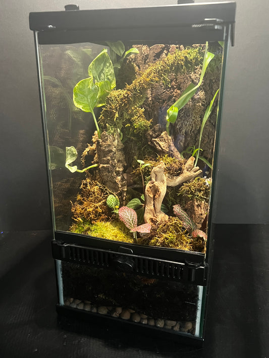 Terrarium Habitat 361