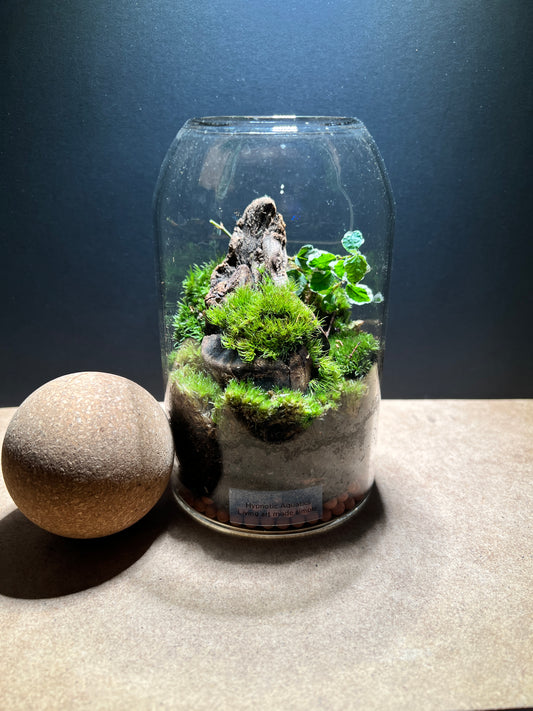 Terrarium 380