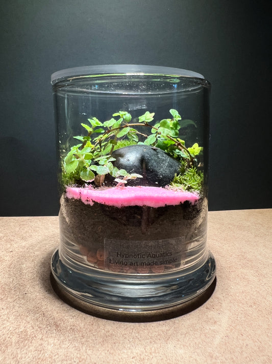 Terrarium 386