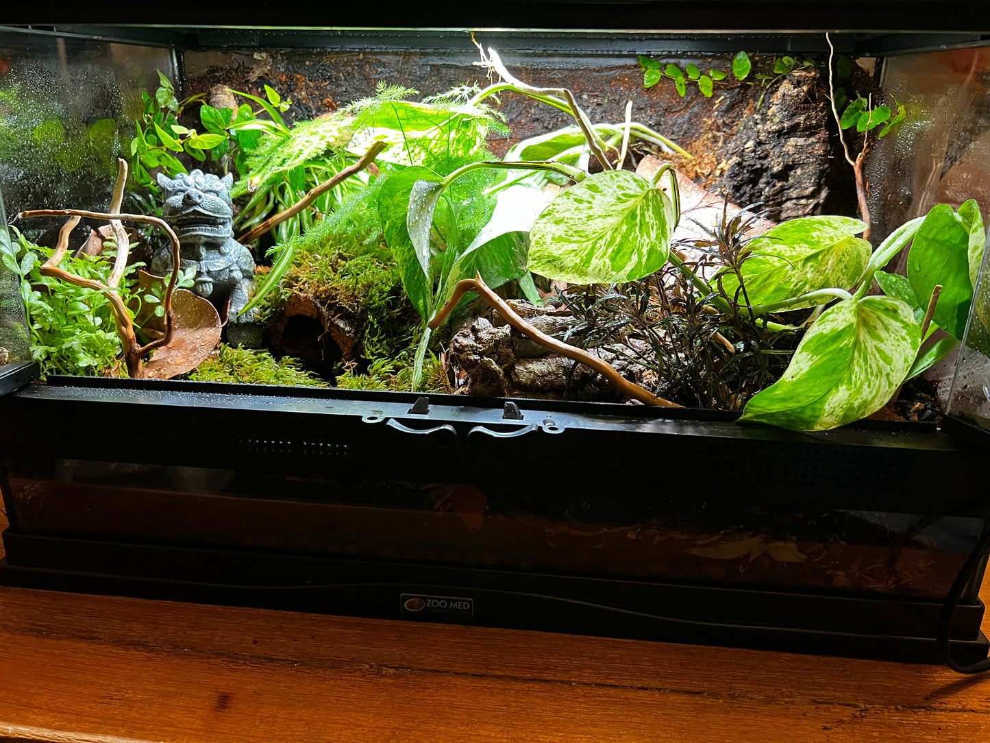 Terrarium 409 Habitat