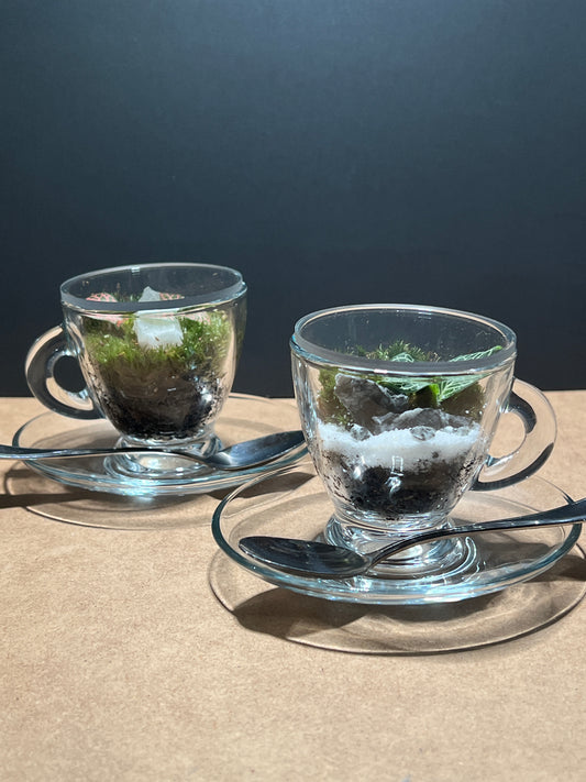 Terrarium (seti) 390