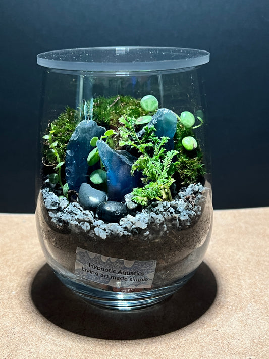 Terrarium 394