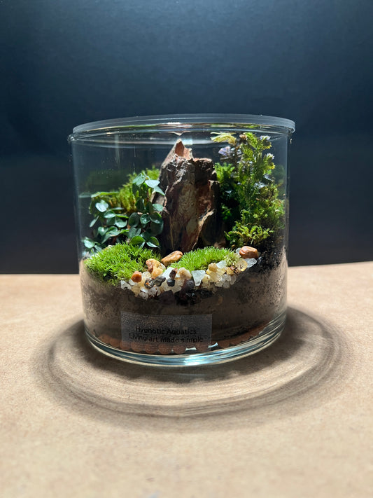 Terrarium 396