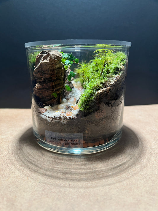 Terrarium 397