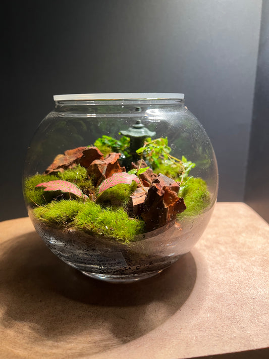 Terrarium 400