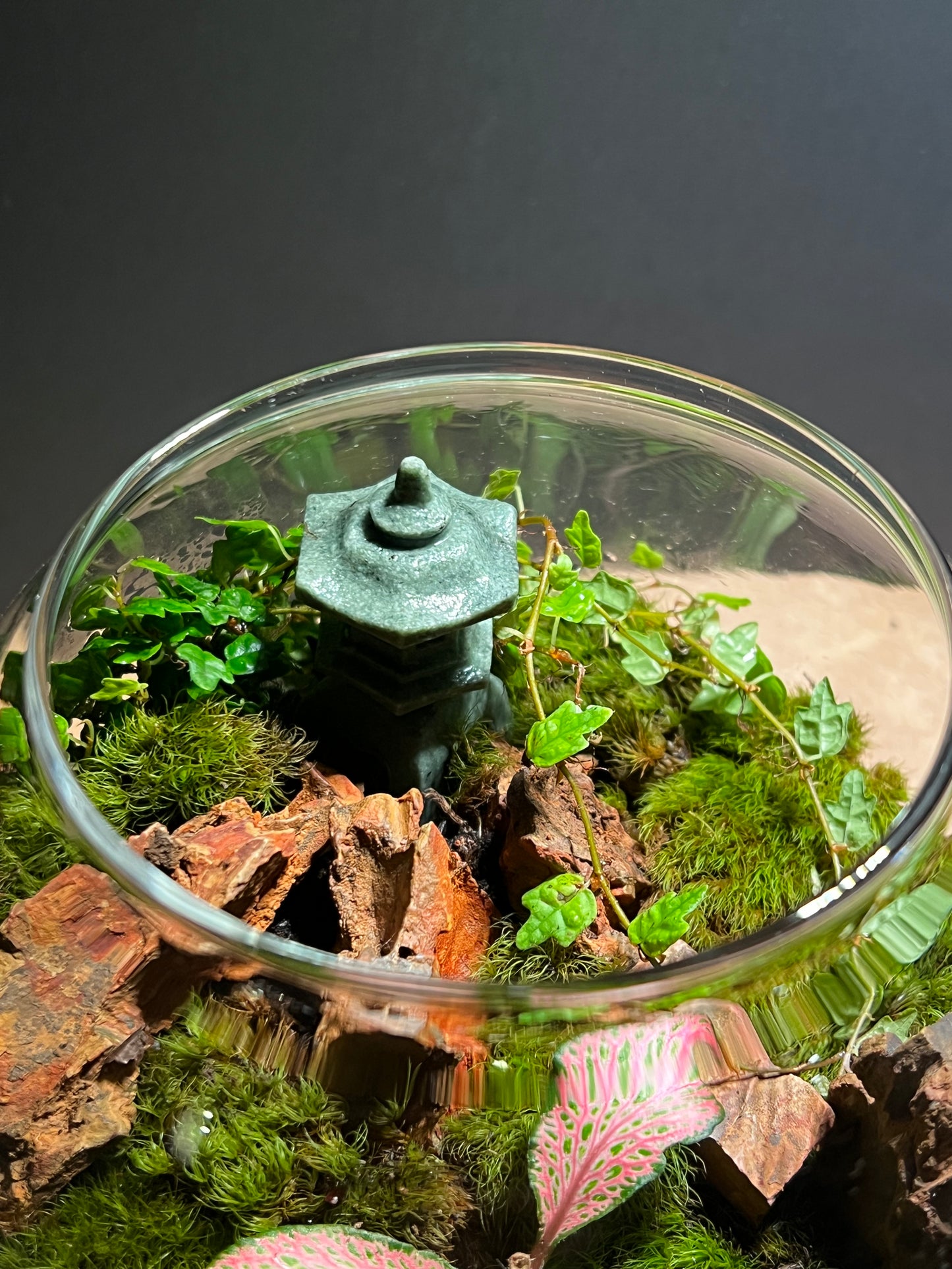 Terrarium 400