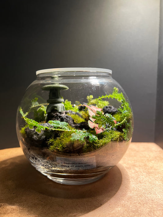 Terrarium 401