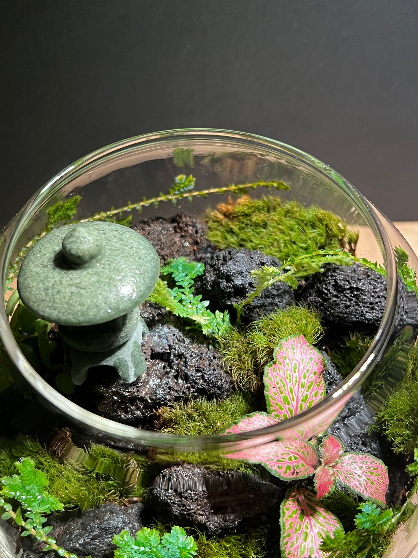 Terrarium 401