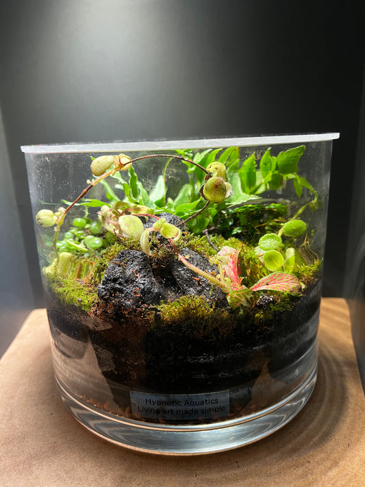 Terrarium 403